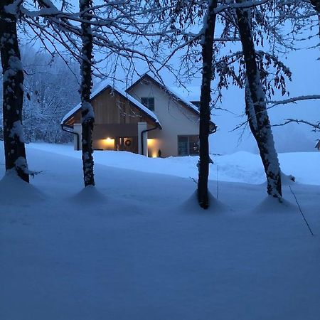 Loft Naturalpina Dolomiti Farm Lejlighed Belluno Eksteriør billede