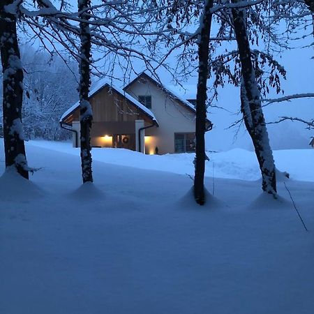 Loft Naturalpina Dolomiti Farm Belluno Eksteriør billede