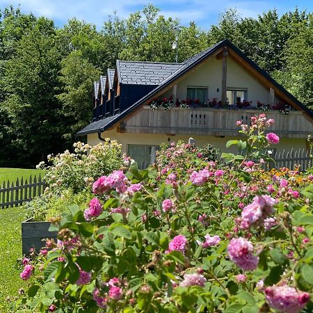 Loft Naturalpina Dolomiti Farm Lejlighed Belluno Eksteriør billede