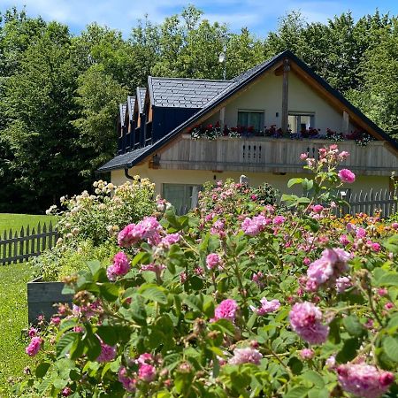 Loft Naturalpina Dolomiti Farm Belluno Eksteriør billede