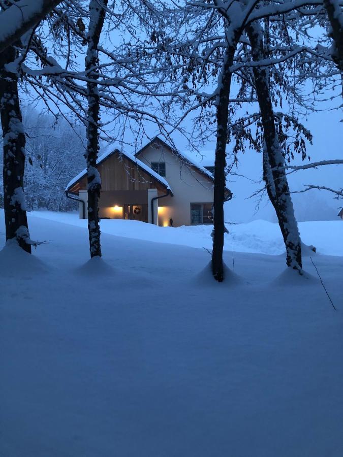 Loft Naturalpina Dolomiti Farm Lejlighed Belluno Eksteriør billede