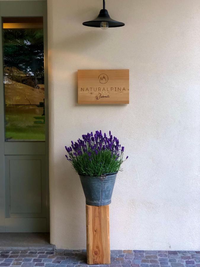 Loft Naturalpina Dolomiti Farm Belluno Eksteriør billede