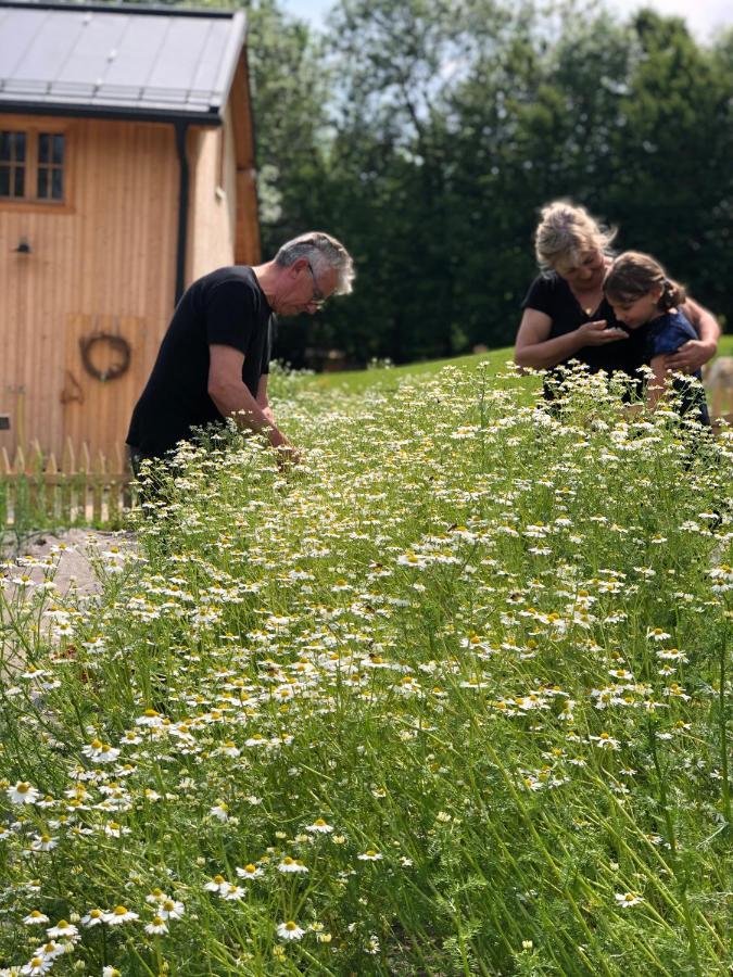 Loft Naturalpina Dolomiti Farm Belluno Eksteriør billede