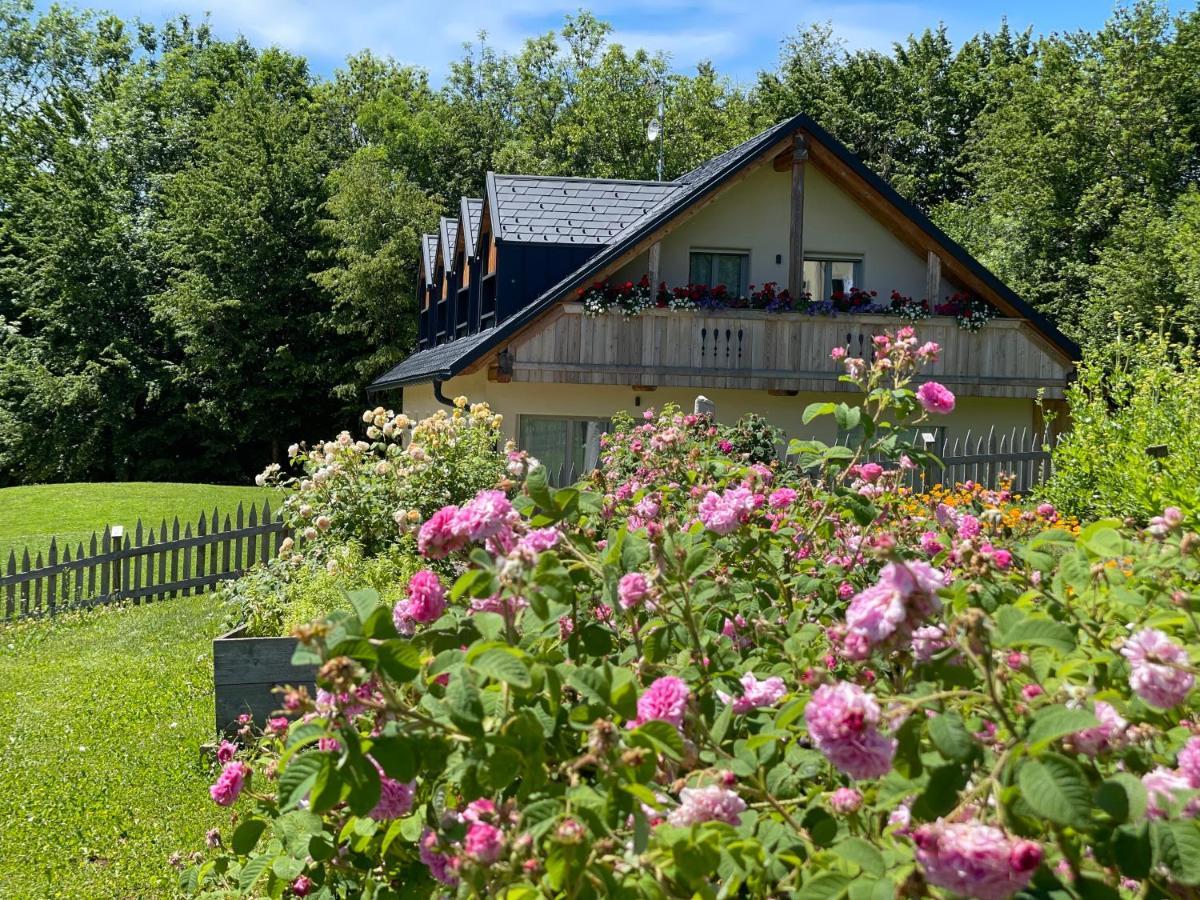 Loft Naturalpina Dolomiti Farm Lejlighed Belluno Eksteriør billede