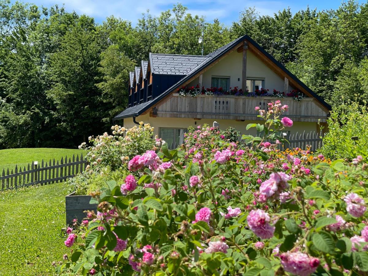 Loft Naturalpina Dolomiti Farm Belluno Eksteriør billede